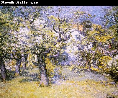 John J Enneking Through the Orchard